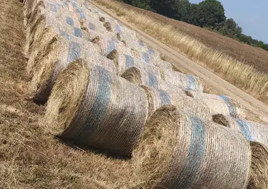 Rollos de hierba seca